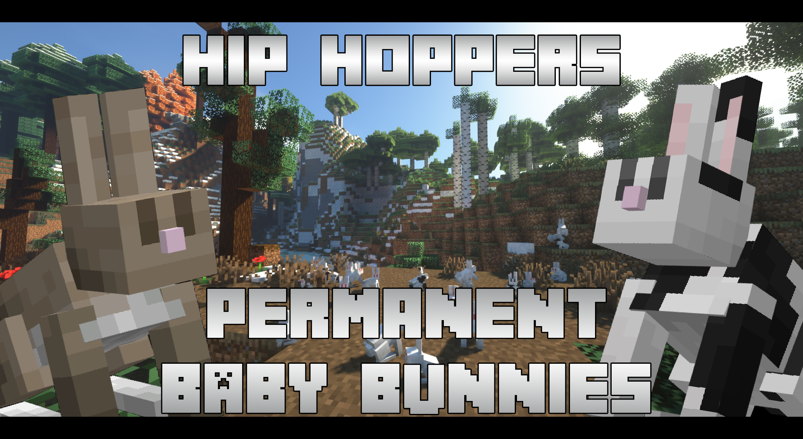 HipBoppersBanner